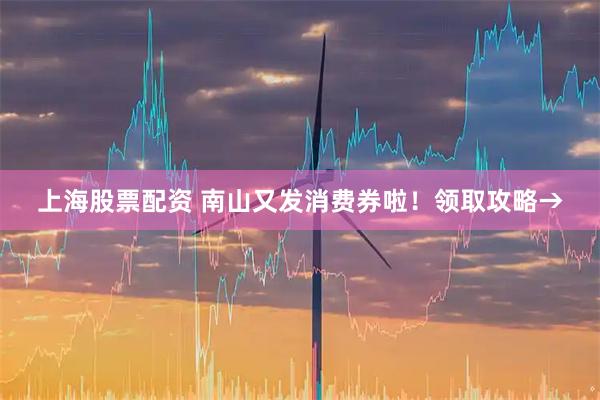 上海股票配资 南山又发消费券啦！领取攻略→