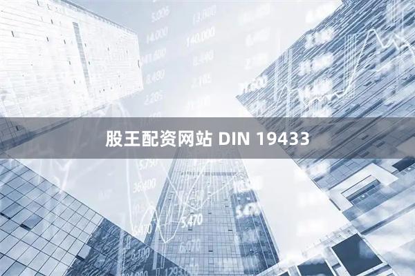股王配资网站 DIN 19433